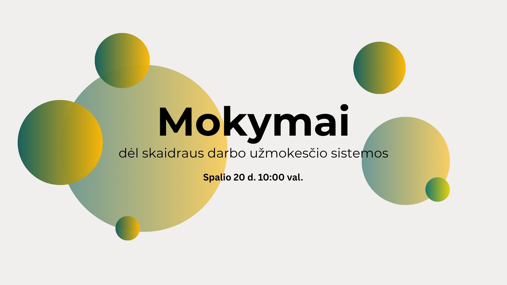 Mokymai dėl skaidraus darbo užmokesčio sistemos